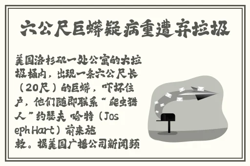 麻花传剧mv在线看免费